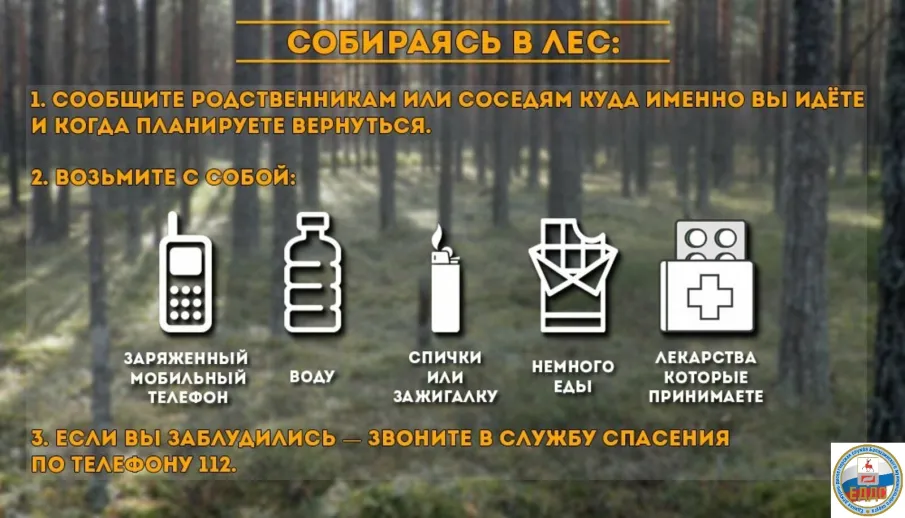 Какое снаряжение взять с собой, как вести себя в лесу, какие меры безопасности следует соблюдать и что делать, если вы все же заблудились.